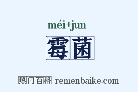 霉菌是什么意思的图片